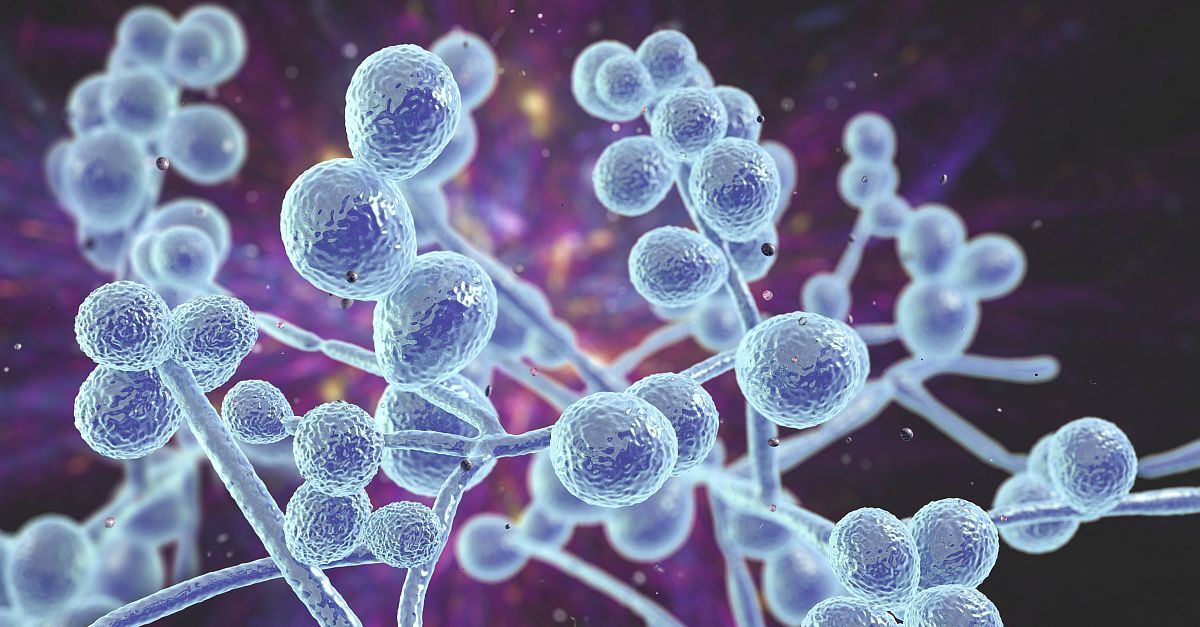 Dr Kathleen Moore of the Stephenson Cancer Center in Oklahoma, USA, shares insights on the treatment of patients with gynecologic malignancies